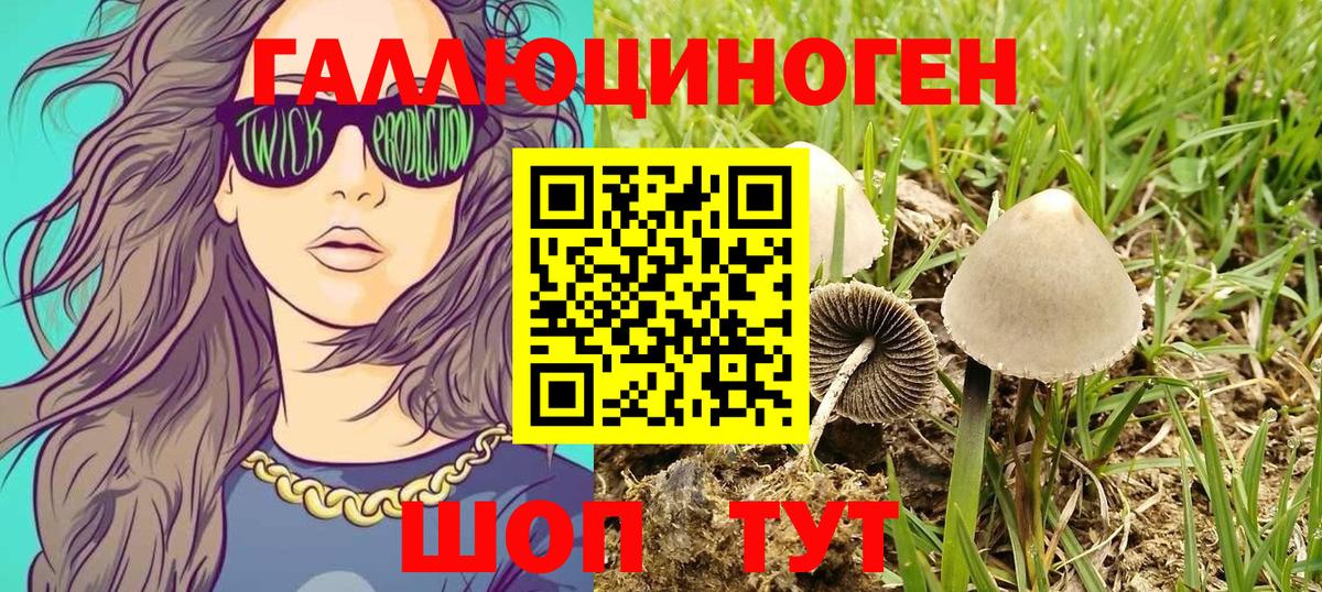 Псилоцибиновые грибы Psilocybine cubensis  Вход с VPN  Кимры 
